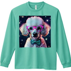 TVc lԗp Y Ht vg W[ AEghA JWA 킢 t@ ዾ v[h lN^C X^[ 