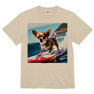 TVc Y LbY t@  t  vg JWA 킢 lԗp tBbglX _X T[tB ` C g T[t{[h