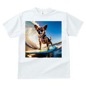 TVc Y LbY t@  t  vg JWA 킢 lԗp tBbglX _X T[tB ` g C T[t{[h