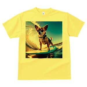 TVc Y LbY t@  t  vg JWA 킢 lԗp tBbglX _X T[tB ` g C T[t{[h