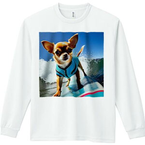 TVc lԗp Y Ht vg W[ AEghA JWA 킢 t@ T[tB ` C g  T[t{[h