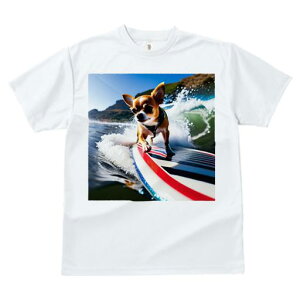 TVc Y LbY t@  t  vg JWA 킢 lԗp tBbglX _X T[t{[h ` g C  T[tB