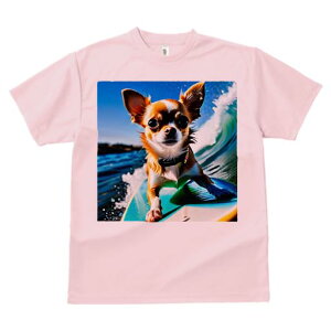 TVc Y LbY t@  t  vg JWA 킢 lԗp tBbglX _X T[tB ` C T[t{[h 