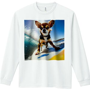 TVc lԗp Y Ht vg W[ AEghA JWA 킢 t@ T[tB ` g C X|[c 