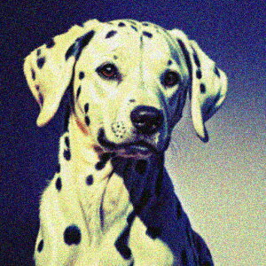 �� �_�����V�A�� �o�[�R�[�h�A�[�g ���_ �|�b�v�A�[�g�f�U�C�� �N�b�V�����J�o�[ 45×45cm �A�j�}���� ������� ���� �N�b�V�����{�̕t�� �����` ���t�@��