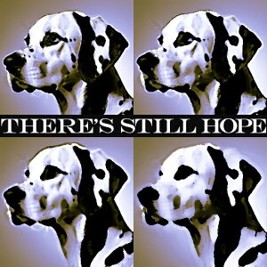 ] _VA |bvA[g `x[V |X^[ NbVJo[ 45×45cm Aj}   NbV{̕t ` t@