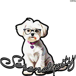 Kl }`[Y  n[g̃^O ZfBseB NbVJo[ 45×45cm Aj}   NbV{̕t ` t@