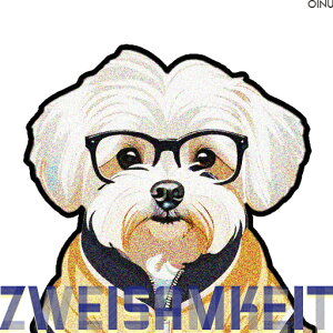 Kl }`[Y XJ[t NbVJo[ 45×45cm Aj}   NbV{̕t ` t@