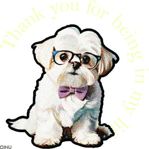 Kl V[Y[ lN^C  NbVJo[ 45×45cm Aj}   NbV{̕t ` t@