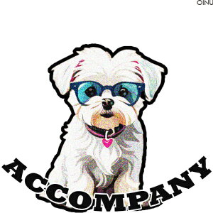 ዾ }`[Y  ANZT[ n[g NbVJo[ 45×45cm Aj}  NbV{̕t ` t@