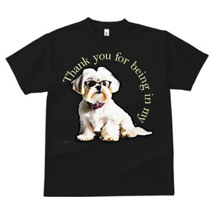 TVc Y LbY t@  t  vg JWA 킢 lԗp tBbglX _X Kl V[Y[ lN^C 肪Ƃ