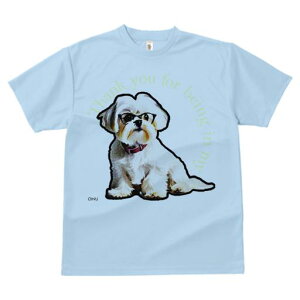 TVc Y LbY t@  t  vg JWA 킢 lԗp tBbglX _X Kl V[Y[ lN^C 肪Ƃ