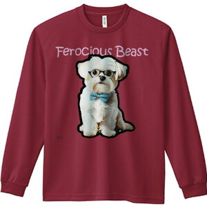 TVc lԗp Y Ht vg W[ AEghA JWA 킢 t@ Kl }`[Y lN^C eLXg