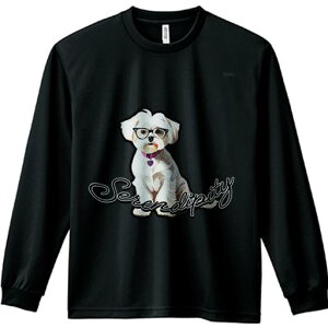 TVc lԗp Y Ht vg W[ AEghA JWA 킢 t@ Kl }`[Y  n[g̃^O ZfBseB