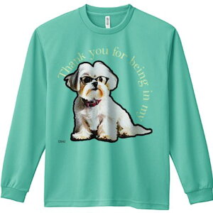 TVc lԗp Y Ht vg W[ AEghA JWA 킢 t@ Kl V[Y[ lN^C 肪Ƃ