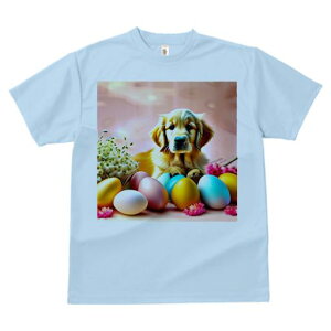 TVc Y LbY t@  t  vg JWA 킢 lԗp tBbglX _X C[X^[GbO S[fg[o[  ԑ