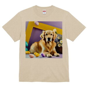 TVc Y LbY t@  t  vg JWA 킢 lԗp tBbglX _X  S[fgo[ t[  JS