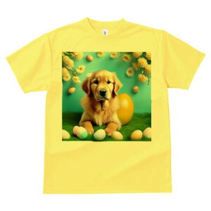 TVc Y LbY t@  t  vg JWA 킢 lԗp tBbglX _X  S[fgo[ C[X^[GbO 