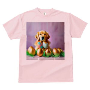 TVc Y LbY t@  t  vg JWA 킢 lԗp tBbglX _X F̗ S[fgo[ pXeJ[̗ ΂̃{