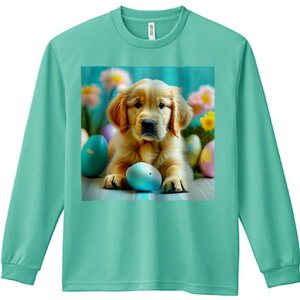 TVc lԗp Y Ht vg W[ AEghA JWA 킢 t@ Jtȗ S[fgo[  ؐ̏