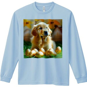 TVc lԗp Y Ht vg W[ AEghA JWA 킢 t@  S[fgo[   sNjbN