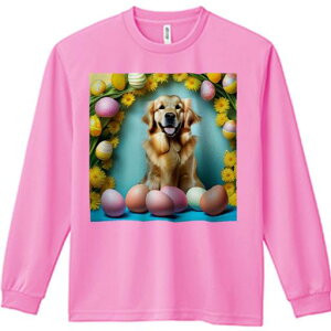 TVc lԗp Y Ht vg W[ AEghA JWA 킢 t@ C[X^[GbO S[fg[o[ F Ԃ̃A[`