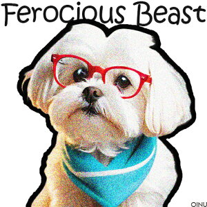 Kl }`[Y XJ[t  NbVJo[ 45×45cm Aj}   NbV{̕t ` t@