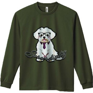 TVc lԗp Y Ht vg W[ AEghA JWA 킢 t@ Kl }`[Y lN^C Fortune IV