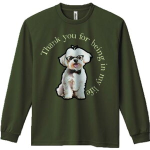 TVc lԗp Y Ht vg W[ AEghA JWA 킢 t@ ዾ }`[Y lN^C ӂ̃bZ[W