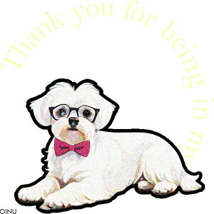 lN^C }`[Y Kl eLXg NbVJo[ 45×45cm Aj}   NbV{̕t ` t@