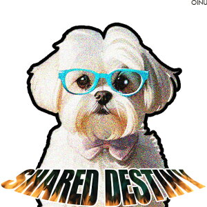 Kl }`[Y { eLXg NbVJo[ 45×45cm Aj}   NbV{̕t ` t@