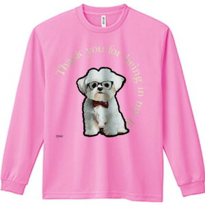 TVc lԗp Y Ht vg W[ AEghA JWA 킢 t@ Kl }`[Y lN^C