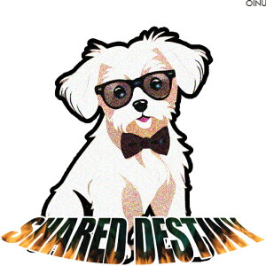 ዾ }`[Y lN^C  NbVJo[ 45×45cm Aj}   NbV{̕t ` t@