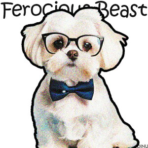 Kl }`[Y lN^C NbVJo[ 45×45cm Aj}   NbV{̕t ` t@