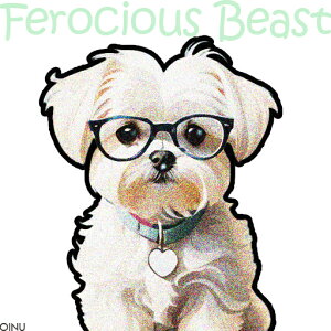 ዾ }`[Y n[g^y_g NbVJo[ 45×45cm Aj}   NbV{̕t ` t@