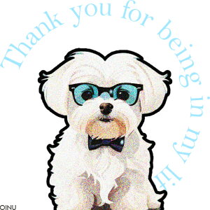 Kl }`[Y lN^C  NbVJo[ 45×45cm Aj}   NbV{̕t ` t@