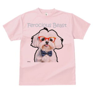 TVc Y LbY t@  t  vg JWA 킢 lԗp tBbglX _X Ԃዾ }`[Y lN^C o