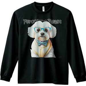 TVc lԗp Y Ht vg W[ AEghA JWA 킢 t@ Kl }`[Y lN^C F̃xXg 