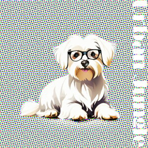 ዾ }`[Y |bvA[g eLXg NbVJo[ 45×45cm Aj}   NbV{̕t ` t@