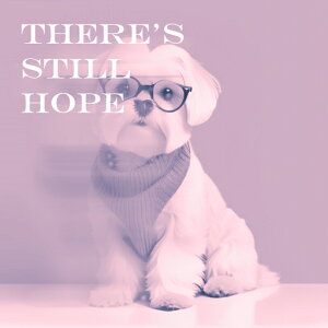 ዾ }`[Y Z[^[ NbVJo[ 45×45cm Aj}   NbV{̕t ` t@