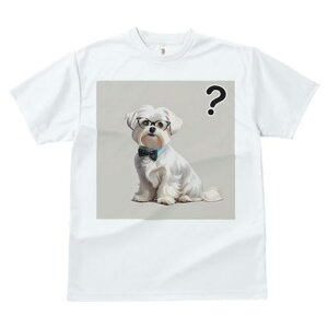 TVc Y LbY t@  t  vg JWA 킢 lԗp tBbglX _X Kl }`[Y lN^C ͂Ăȃ}[N