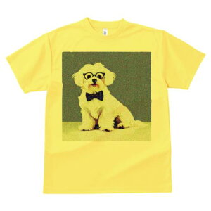 TVc Y LbY t@  t  vg JWA 킢 lԗp tBbglX _X Kl }`[Y lN^C 