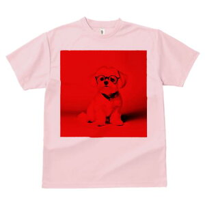 TVc Y LbY t@  t  vg JWA 킢 lԗp tBbglX _X Kl }`[Y o_i Ԃwi