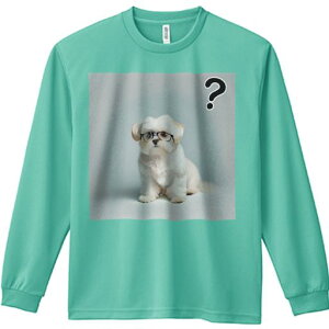 TVc lԗp Y Ht vg W[ AEghA JWA 킢 t@ ዾ }`[Y nei}[N wi