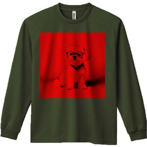 TVc lԗp Y Ht vg W[ AEghA JWA 킢 t@ Kl }`[Y o_i Ԃwi