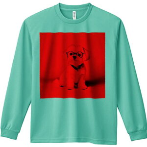 TVc lԗp Y Ht vg W[ AEghA JWA 킢 t@ Kl }`[Y o_i Ԃwi