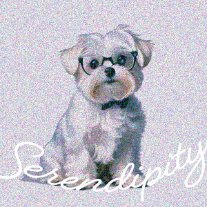 ዾ }`[Y eLXg NbVJo[ 45×45cm Aj}   NbV{̕t ` t@