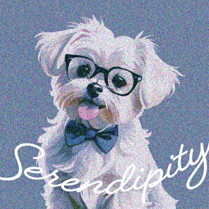 Kl }`[Y lN^C  ZfBseB NbVJo[ 45×45cm Aj}   NbV{̕t ` t@