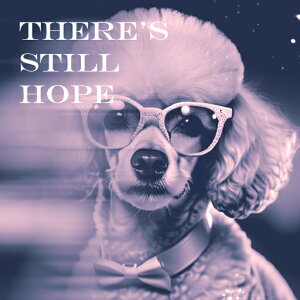 Kl v[h lN^C F  bZ[W NbVJo[ 45×45cm Aj}   NbV{̕t ` t@