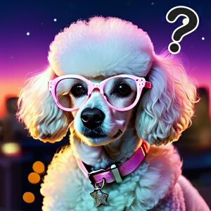 Kl v[h   NbVJo[ 45×45cm Aj}   NbV{̕t ` t@